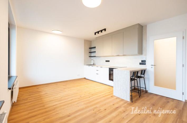 Pronájem bytu 1+kk, Praha - Žižkov, Olgy Havlové, 32 m2