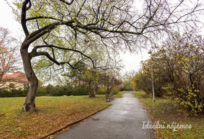 Pronájem bytu 1+kk, Praha - Žižkov, Olgy Havlové, 32 m2