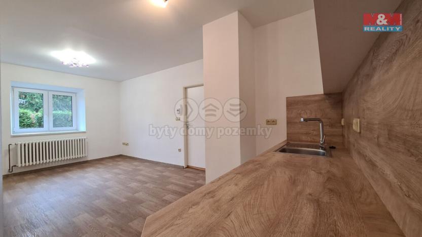 Pronájem bytu 1+kk, Štěpánovice, 45 m2