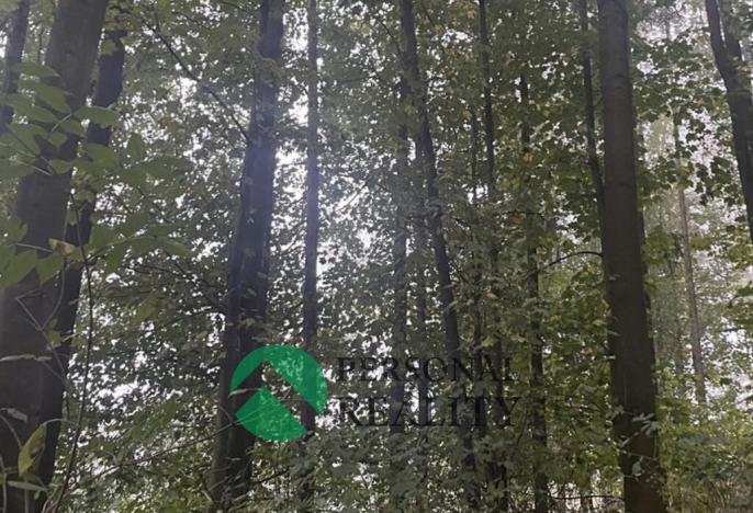 Prodej lesa, Seč, 4315 m2