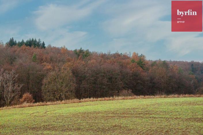 Prodej louky, Olomouc - Lošov, 6660 m2