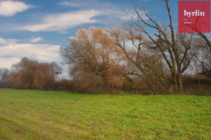 Prodej pole, Bukovany, 604 m2