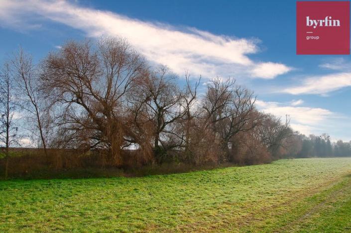 Prodej pole, Bukovany, 604 m2