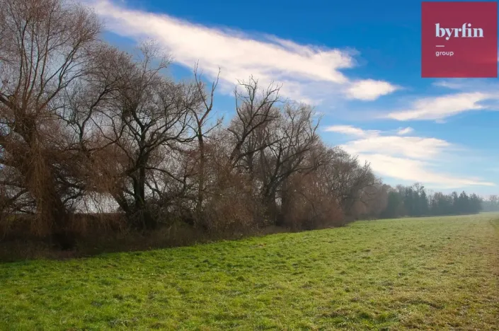 Prodej pole, Bukovany, 604 m2