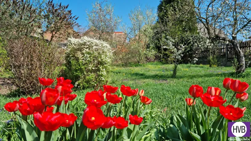 Prodej rodinného domu, Zlonice, Riegrova, 187 m2