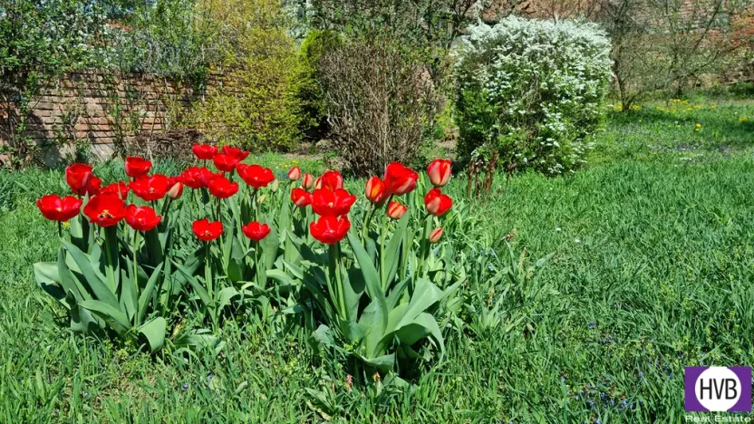 Prodej rodinného domu, Zlonice, Riegrova, 187 m2