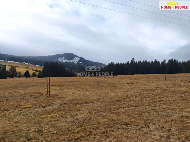 Prodej louky, Horská Kvilda, 1321 m2