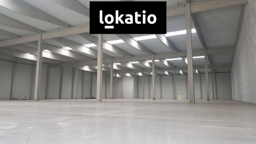 Pronájem skladu, Kladno, 2000 m2