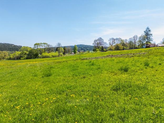 Prodej pozemku pro bydlení, Kaplice - Mostky, 600 m2