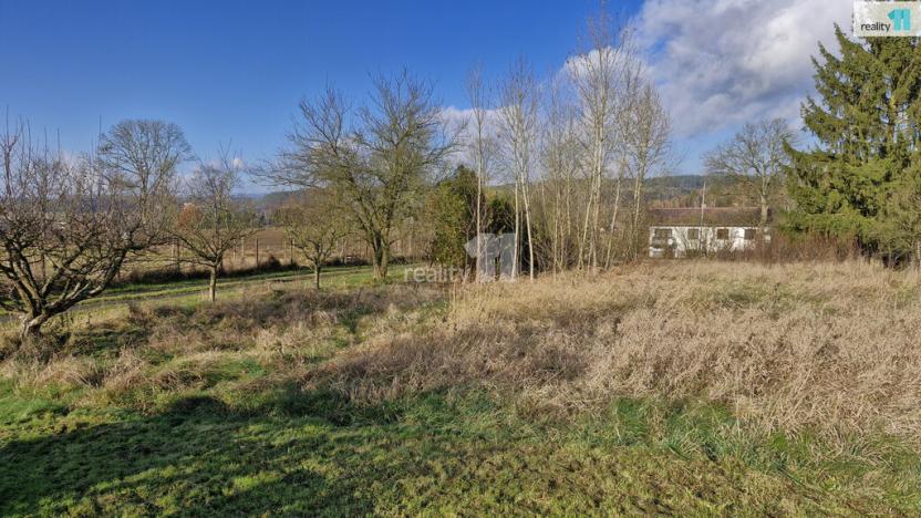 Prodej louky, Dalovice, Sedmidomky, 1669 m2