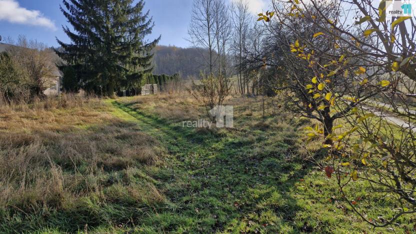 Prodej louky, Dalovice, Sedmidomky, 1669 m2