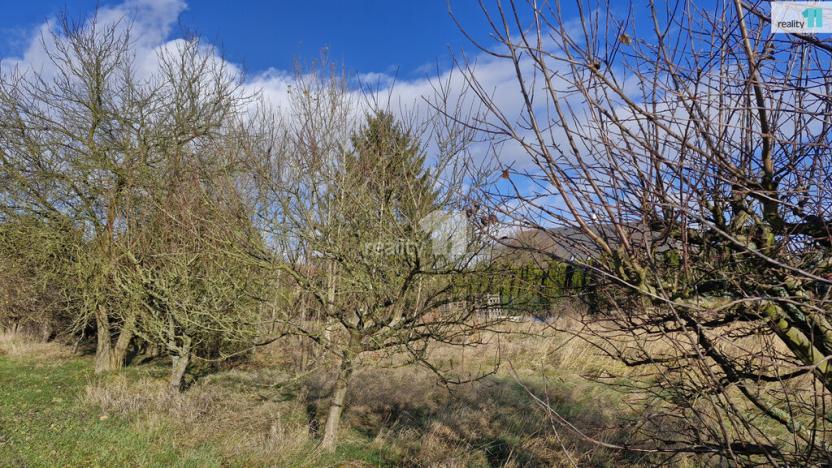 Prodej louky, Dalovice, Sedmidomky, 1669 m2