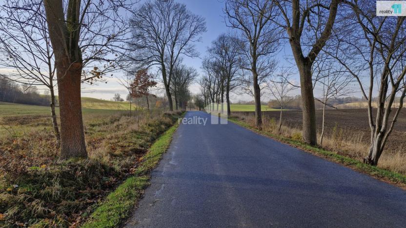 Prodej louky, Dalovice, Sedmidomky, 1669 m2