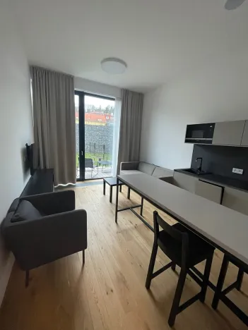 Pronájem bytu 1+kk, Praha - Veleslavín, Na dračkách, 27 m2