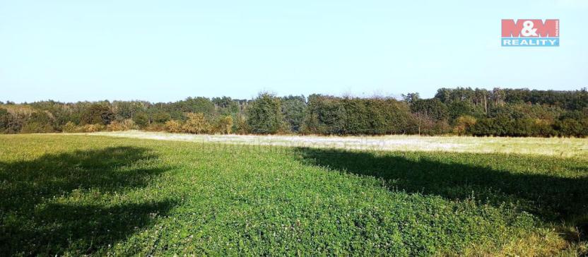 Prodej zemědělské usedlosti, Úštěk - Robeč, 1230 m2