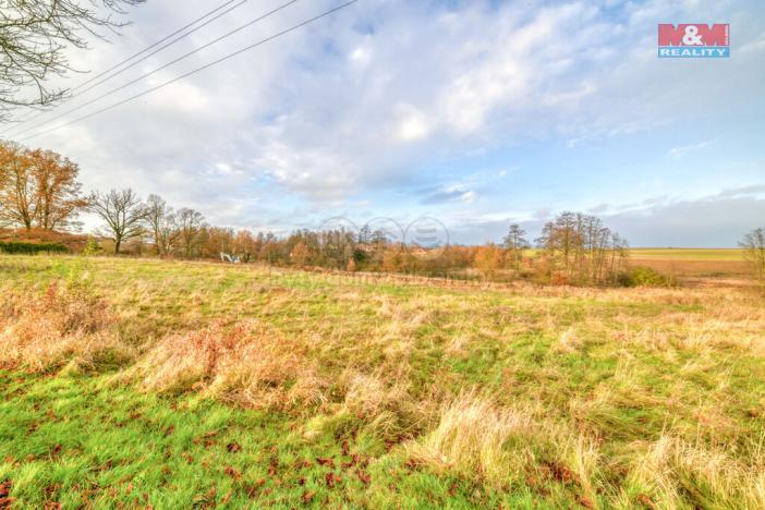 Prodej pozemku pro bydlení, Františkovy Lázně - Žírovice, 1155 m2