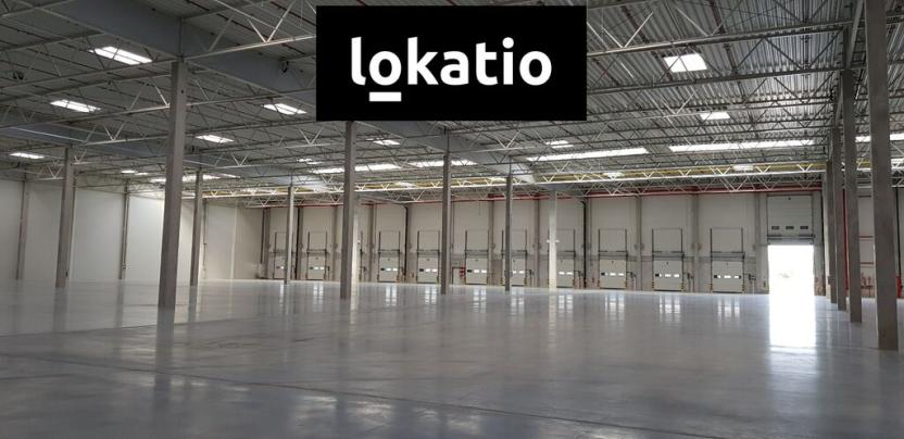 Pronájem skladu, Pavlov, 8883 m2