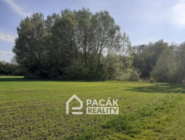 Prodej rybníku, Kožušany-Tážaly - Kožušany, 15995 m2