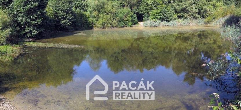 Prodej rybníku, Kožušany-Tážaly - Kožušany, 15995 m2