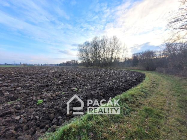 Prodej rybníku, Kožušany-Tážaly - Kožušany, 15995 m2