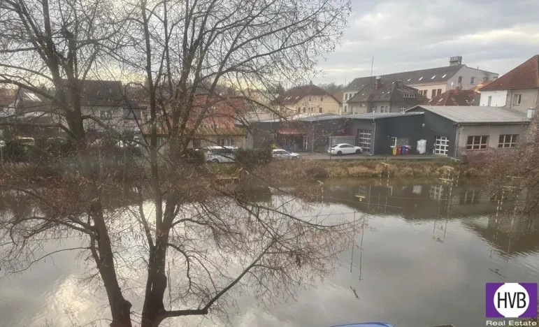 Prodej rodinného domu, Horšovský Týn, Žižkova, 517 m2