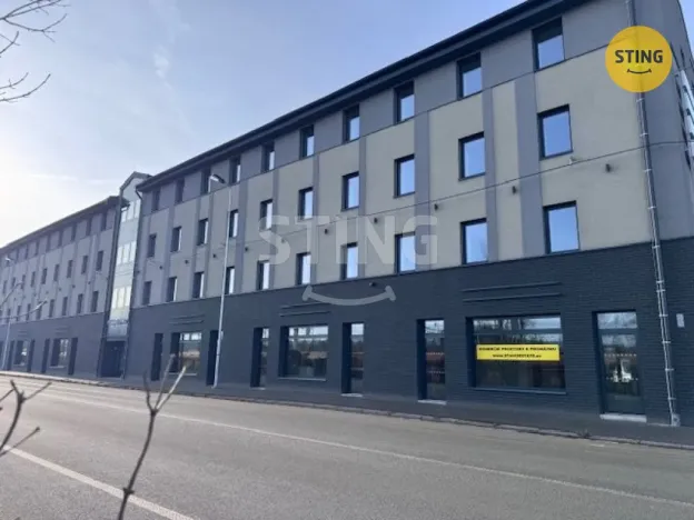 Pronájem obchodního prostoru, Český Těšín, Jablunkovská, 481 m2