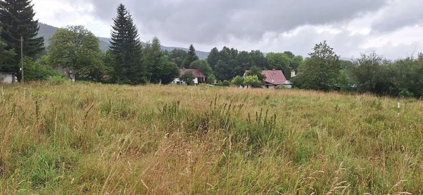 Prodej pozemku pro bydlení, Žacléř, 2830 m2