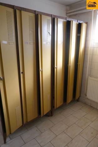 Prodej výrobních prostor, Moravec, 3963 m2