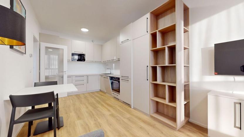 Pronájem bytu 2+kk, Praha - Vysočany, Odkolkova, 52 m2