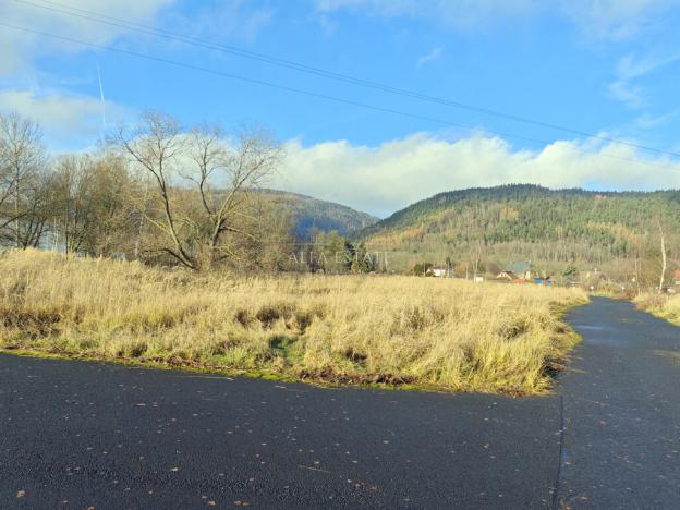 Prodej komerčního pozemku, Hroznětín, Nádražní, 16411 m2