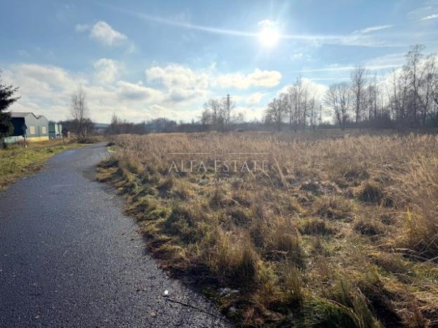 Prodej komerčního pozemku, Hroznětín, Nádražní, 16411 m2