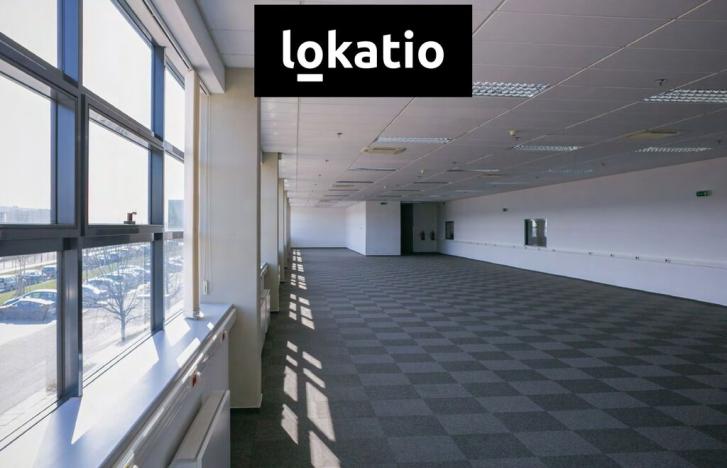 Pronájem skladu, Ovčáry, 7000 m2