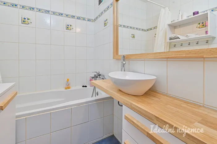 Pronájem bytu 1+1, Brno, Renčova, 45 m2