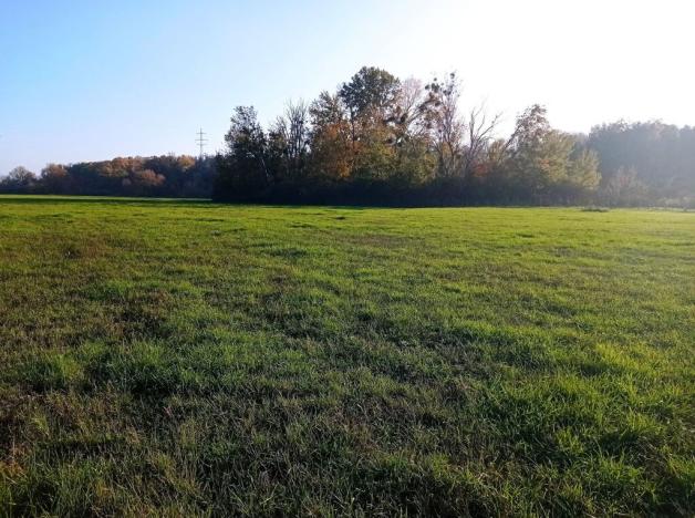 Prodej louky, Bulhary, 5838 m2