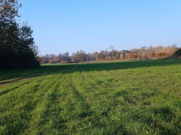 Prodej louky, Bulhary, 5838 m2