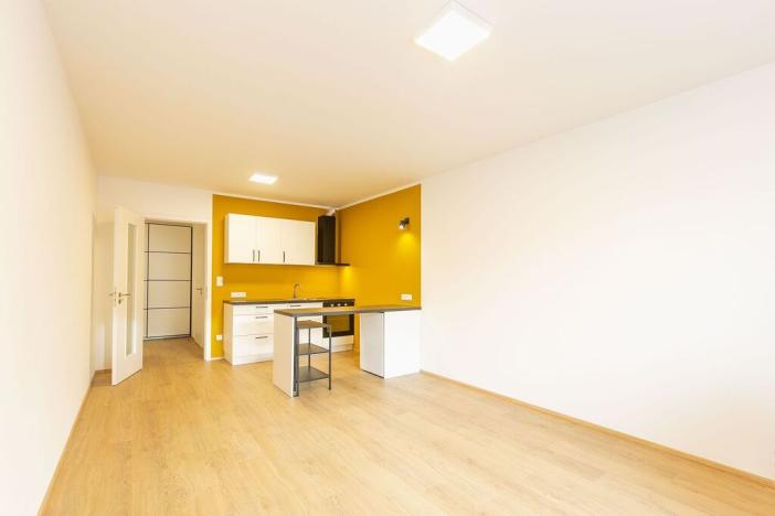 Pronájem bytu 1+kk, Pardubice - Zelené Předměstí, Smilova, 36 m2