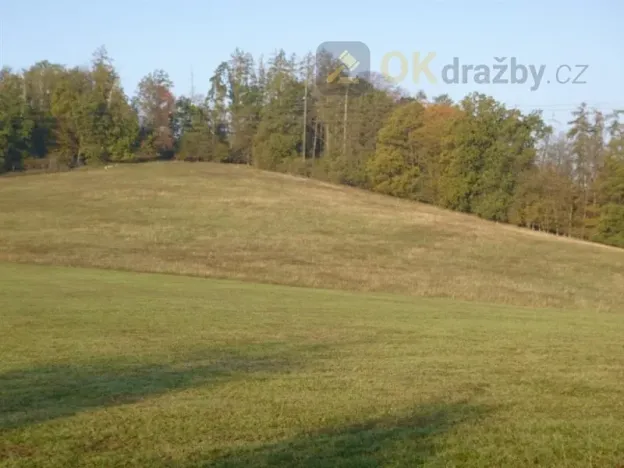 Dražba pole, Struhařov, 9280 m2