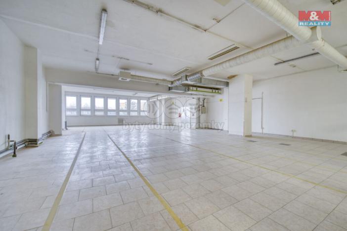 Pronájem obchodního prostoru, Plzeň - Doudlevce, Skupova, 200 m2