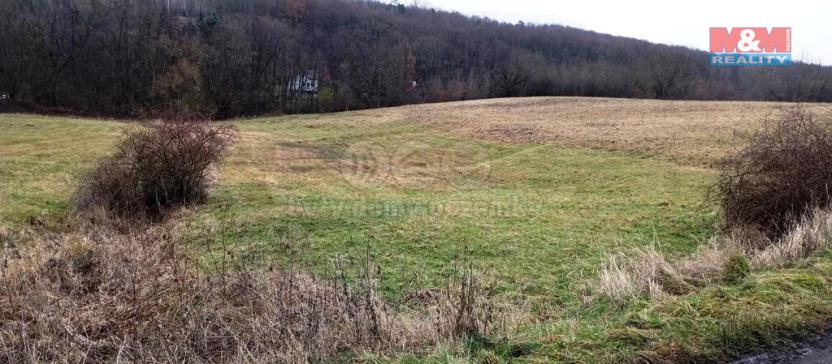 Prodej louky, Třebušín, 8010 m2