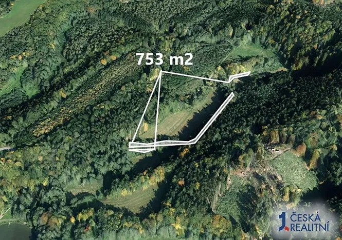 Prodej lesa, Třebovice, 657 m2