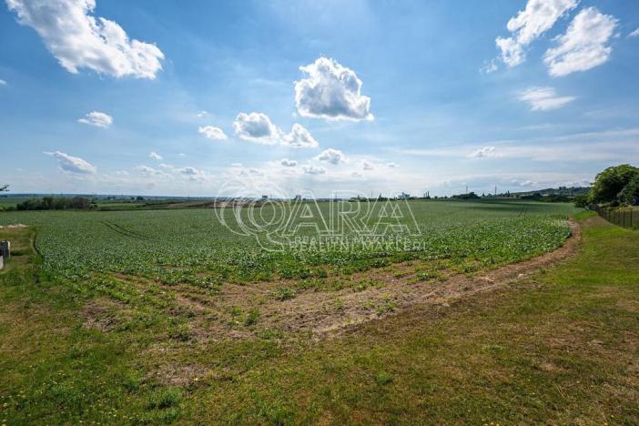 Prodej pozemku pro bydlení, Dobrovice - Úherce, 1050 m2