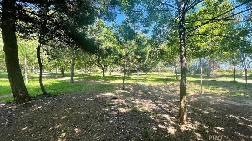 Prodej bytu 2+kk, Via Tevere, 65015 Montesilvano PE, Itálie, 50 m2