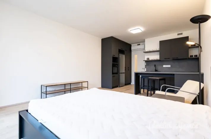 Pronájem bytu 1+kk, Praha - Žižkov, Šrámkové, 36 m2