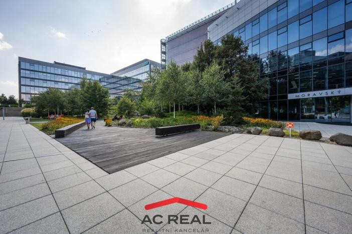 Prodej bytu 2+kk, Brno - Horní Heršpice, Pražákova, 109 m2