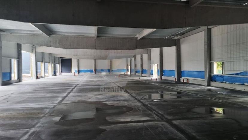 Pronájem obchodního prostoru, Havířov - Šumbark, Marie Pujmanové, 302 m2