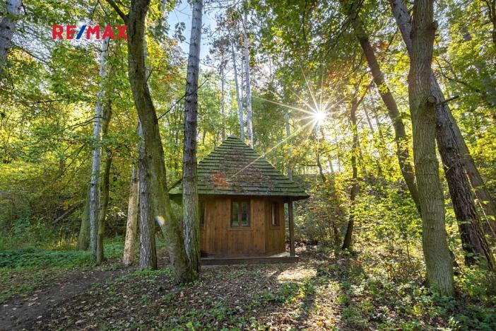 Prodej lesa, Praha - Malá Chuchle, 17570 m2