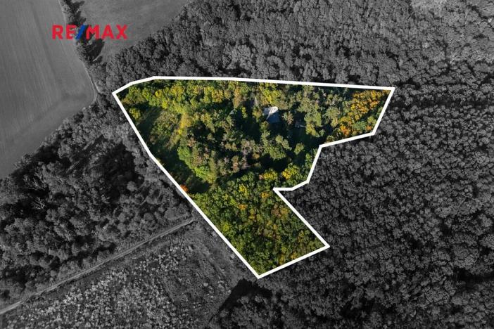 Prodej lesa, Praha - Malá Chuchle, 17570 m2