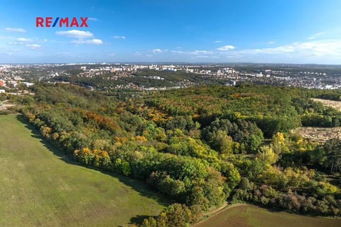 Prodej lesa, Praha - Malá Chuchle, 17570 m2