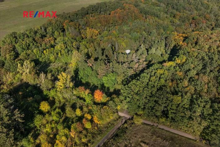 Prodej lesa, Praha - Malá Chuchle, 17570 m2