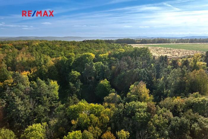 Prodej lesa, Praha - Malá Chuchle, 17570 m2